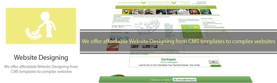 Website Design Services South Africa
